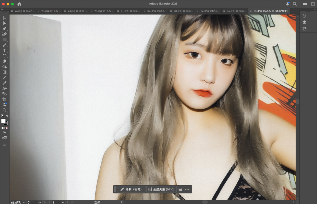 Adobe Illustrator 2025 Mac版 AI专业级的矢量图形设计软件-第4张图片-力界网