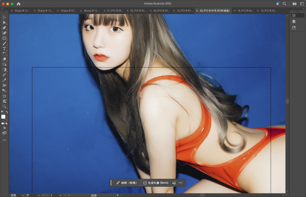 Adobe Illustrator 2025 Mac版 AI专业级的矢量图形设计软件-第10张图片-力界网