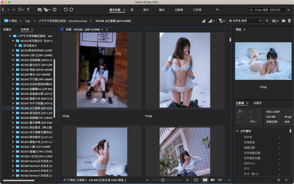 Adobe Bridge 2024 Mac版 多媒体管理工具-第2张图片-力界网