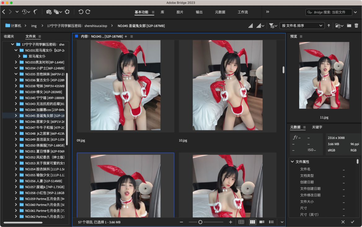 Adobe Bridge 2024 Mac版 多媒体管理工具-第3张图片-力界网