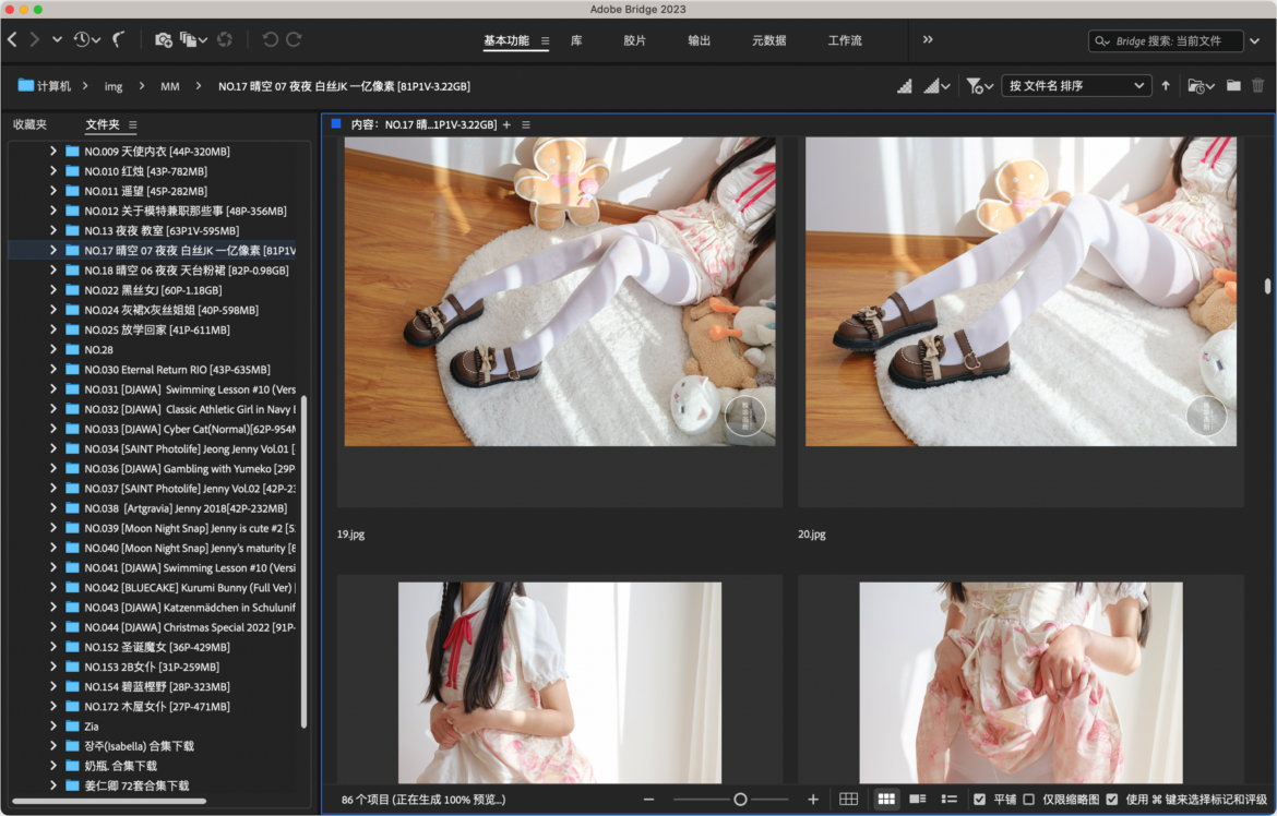 Adobe Bridge 2024 Mac版 多媒体管理工具-第5张图片-力界网