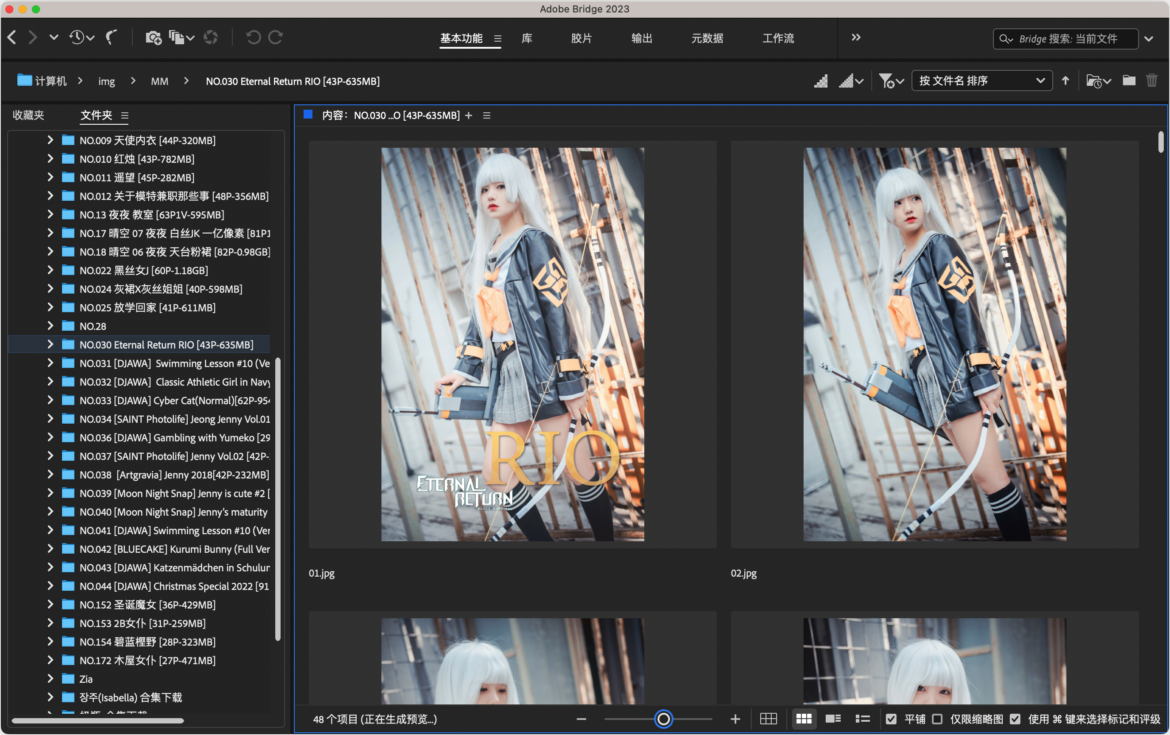 Adobe Bridge 2024 Mac版 多媒体管理工具-第6张图片-力界网