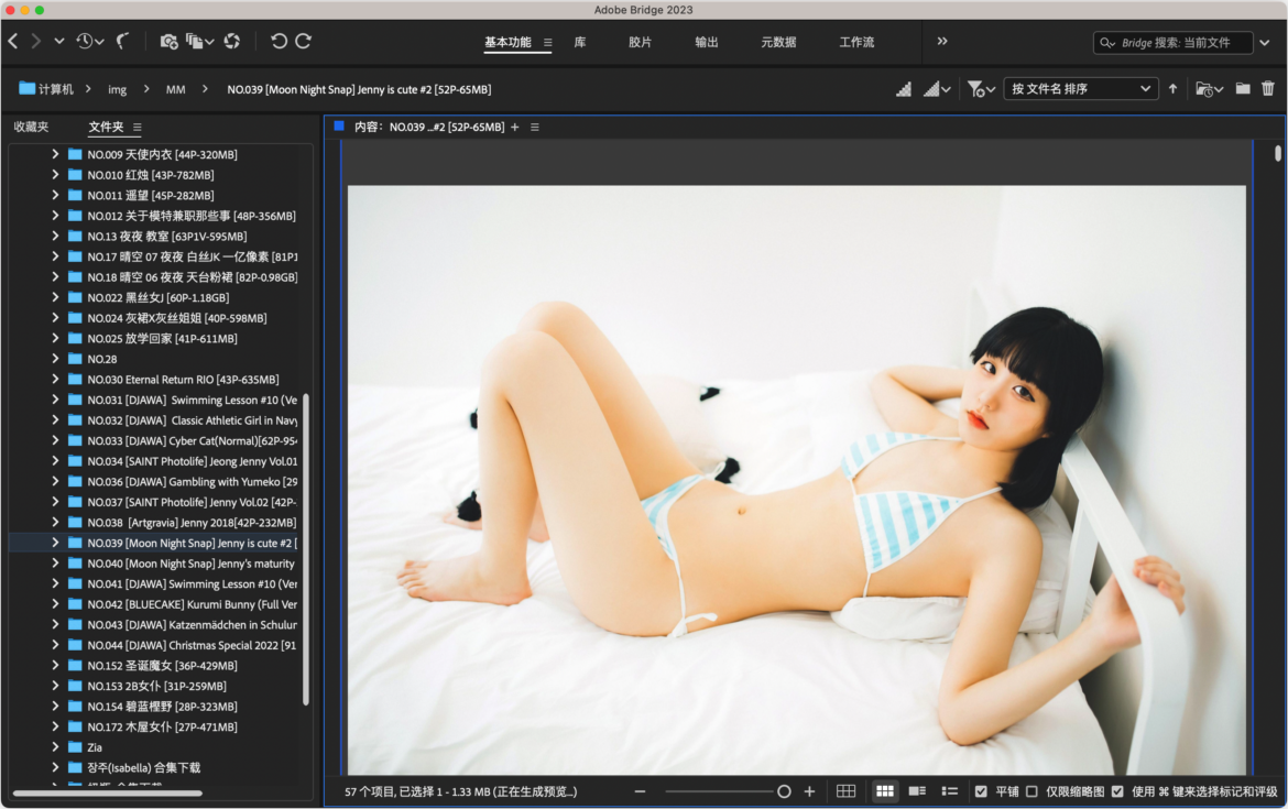 Adobe Bridge 2024 Mac版 多媒体管理工具-第8张图片-力界网