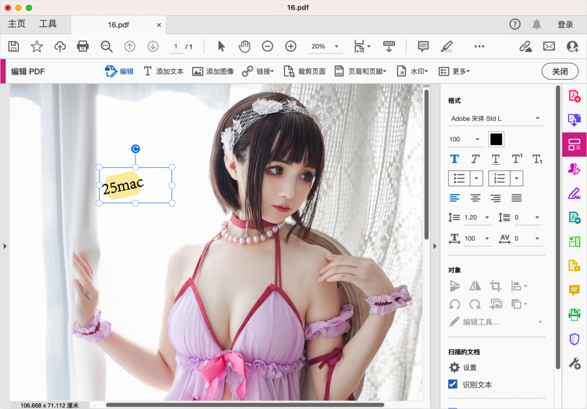 Adobu200bu200be Acrobat Pro DC 2023 集PDF创建、编辑、阅读于一身-第3张图片-力界网