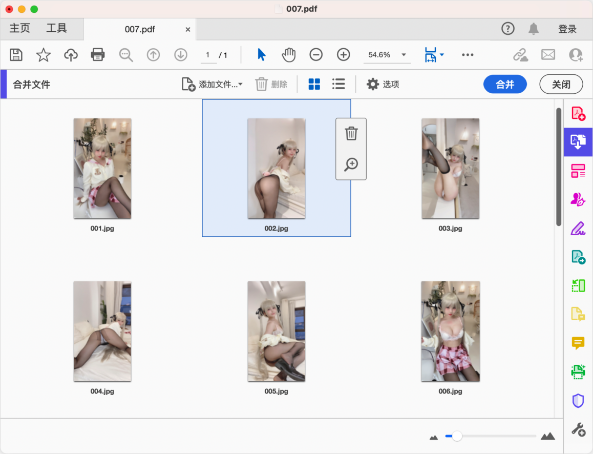 Adobu200bu200be Acrobat Pro DC 2023 集PDF创建、编辑、阅读于一身-第6张图片-力界网
