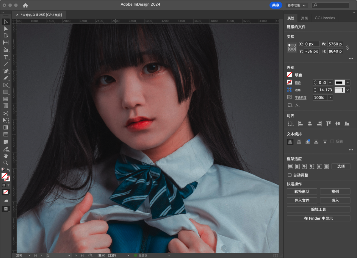 Adobe InDesign 2024 Mac版 ID排版工具-第6张图片-力界网