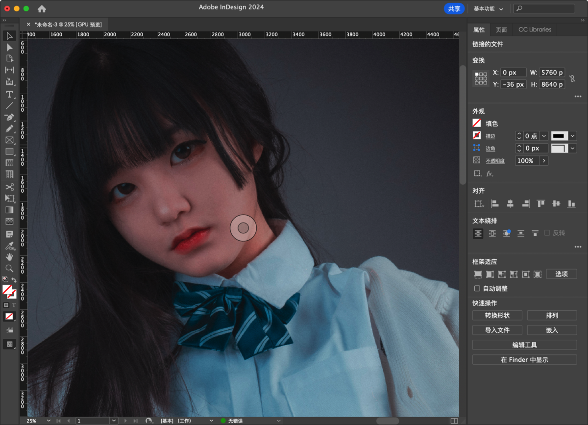 Adobe InDesign 2024 Mac版 ID排版工具-第7张图片-力界网
