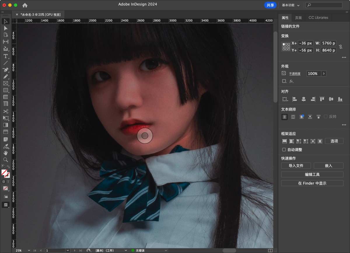 Adobe InDesign 2024 Mac版 ID排版工具-第8张图片-力界网