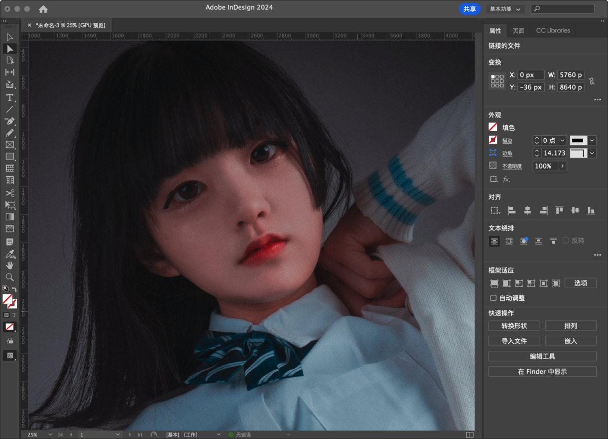 Adobe InDesign 2024 Mac版 ID排版工具-第10张图片-力界网