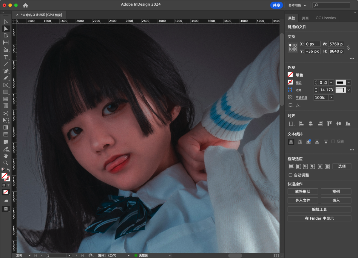 Adobe InDesign 2024 Mac版 ID排版工具-第11张图片-力界网