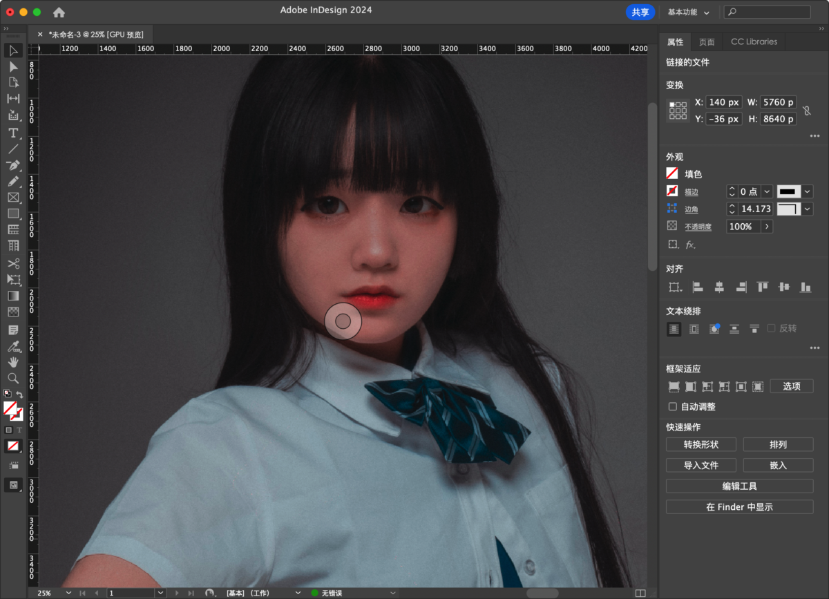 Adobe InDesign 2024 Mac版 ID排版工具-第16张图片-力界网